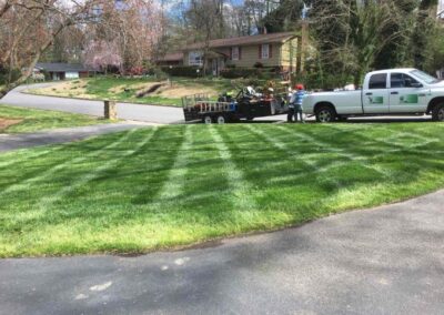 Lawn service 4